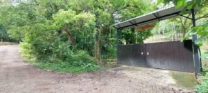 20250521_090302 (Large)