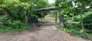 20250521_090343 (Large)