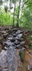 20250521_090729 (Large)