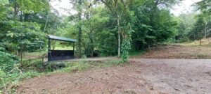 20250521_091159 (Large)