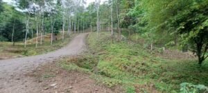 20250521_091232 (Large)