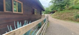 20250521_091937 (Large)