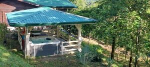 20250522_073706 (Large)