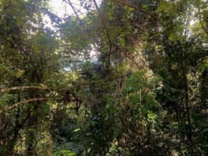 3 WhatsApp Image 2025-01-05 at 12.43.37