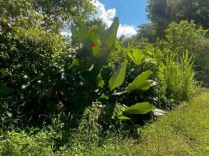 4 WhatsApp Image 2025-01-05 at 12.43.38