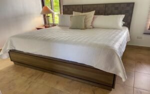 4573 House For Sale Chontales 19