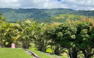 4573 House For Sale Chontales 22