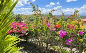 4573 House For Sale Chontales 27