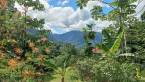 5520 – Tres Rios House & Cabin_01