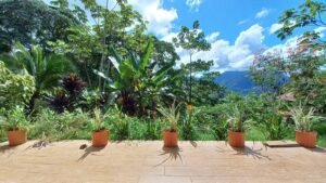 5520 – Tres Rios House & Cabin_02