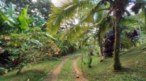 5520 – Tres Rios House & Cabin_15