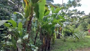 5520 – Tres Rios House & Cabin_16