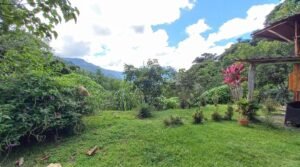 5520 – Tres Rios House & Cabin_22