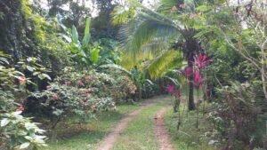 5520 – Tres Rios House & Cabin_23