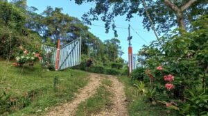 5520 – Tres Rios House & Cabin_24