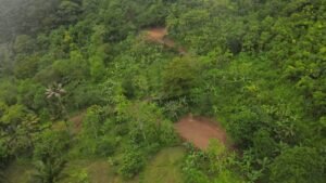 5522 – Mountain View Land with Several Building Sites and Mature Fruit Trees_03