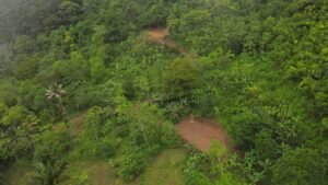 5522 – Mountain View Land with Several Building Sites and Mature Fruit Trees_03