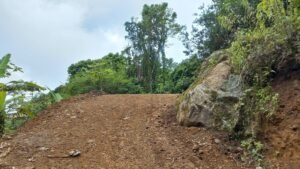 5522 – Mountain View Land with Several Building Sites and Mature Fruit Trees_12