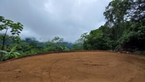 5522 – Mountain View Land with Several Building Sites and Mature Fruit Trees_13