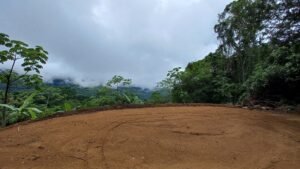 5522 – Mountain View Land with Several Building Sites and Mature Fruit Trees_13