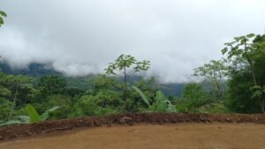 5522 – Mountain View Land with Several Building Sites and Mature Fruit Trees_15