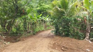 5522 – Mountain View Land with Several Building Sites and Mature Fruit Trees_18