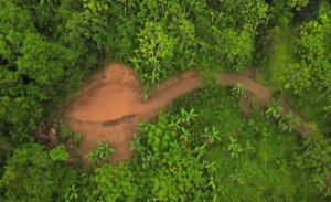 5522 – Mountain View Land with Several Building Sites and Mature Fruit Trees_30