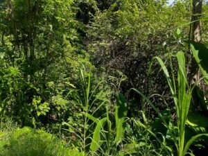 6WhatsApp Image 2025-01-05 at 12.43.38