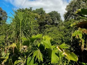 8 WhatsApp Image 2025-01-05 at 12.43.39