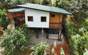 DJI_20241213112632_0251_D