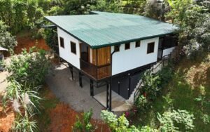 DJI_20241213112653_0253_D