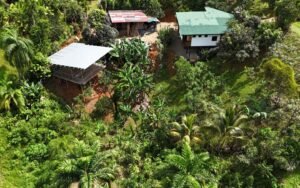 DJI_20241213112817_0262_D