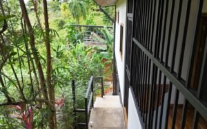 DJI_20241213114318_0301_D