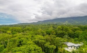 DJI_20250913094022_0129_D