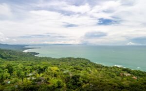 DJI_20251001113604_0422_D