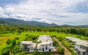 DJI_20251009092331_0284_D