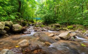 Dan Lancinger Costa Rica Home For Sale Ojochal 35