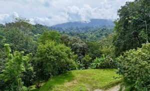 Dan Lancinger Costa Rica Real Estate 10