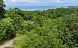 Dan Lancinger Costa Rica Real Estate 13