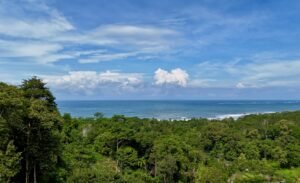 Dan Lancinger Costa Rica Real Estate 2