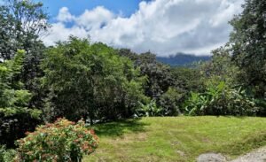 Dan Lancinger Costa Rica Real Estate 3