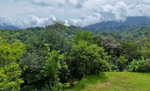 Dan Lancinger Costa Rica Real Estate 6