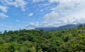 Dan Lancinger Costa Rica Real Estate 7