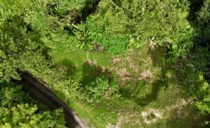 Dan Lancinger Costa Rica Real Estate 8