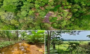 Dan Lancinger Real Estate Uvita 1