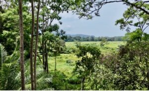 Dan Lancinger Real Estate Uvita 10