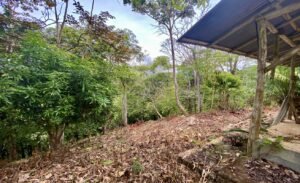 Dan Lancinger Real Estate Uvita 11