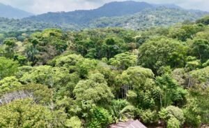 Dan Lancinger Real Estate Uvita 14