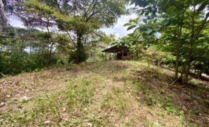 Dan Lancinger Real Estate Uvita 15