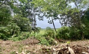 Dan Lancinger Real Estate Uvita 17